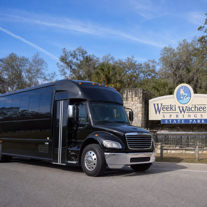 Spring Hill Party Bus Rental